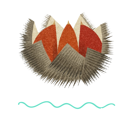 Castanicoltori Lariani